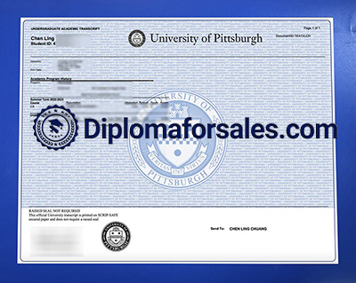 University of Pittsburgh Transcript
