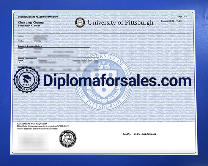 University of Pittsburgh Transcript
