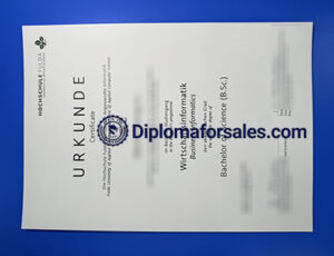 Hochschule Fulda Urkunde