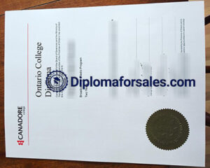 Canadore College Diploma