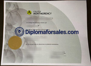 Collège Montmorency Diploma