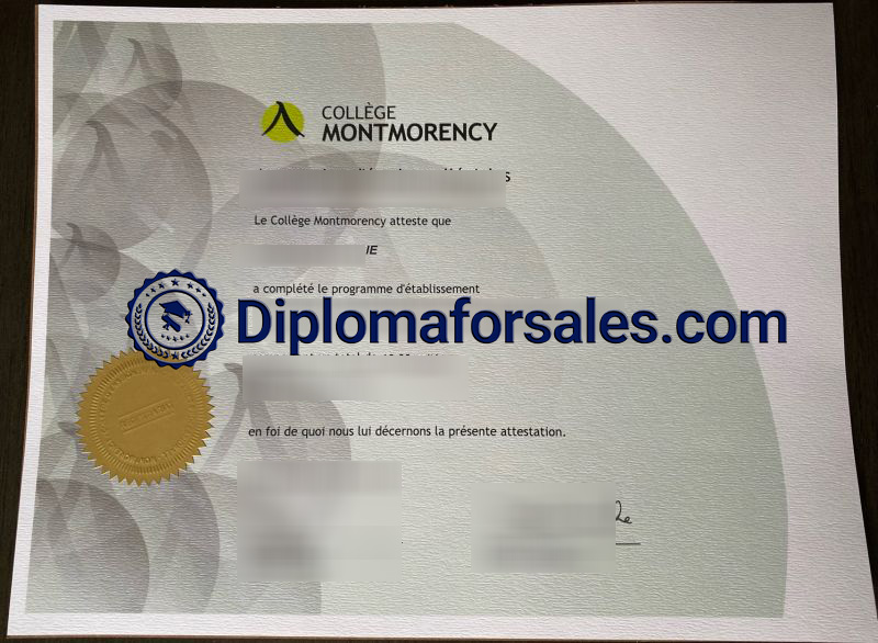 Collège Montmorency Diploma