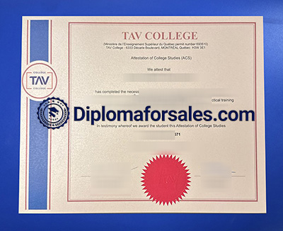 TAV College Diploma