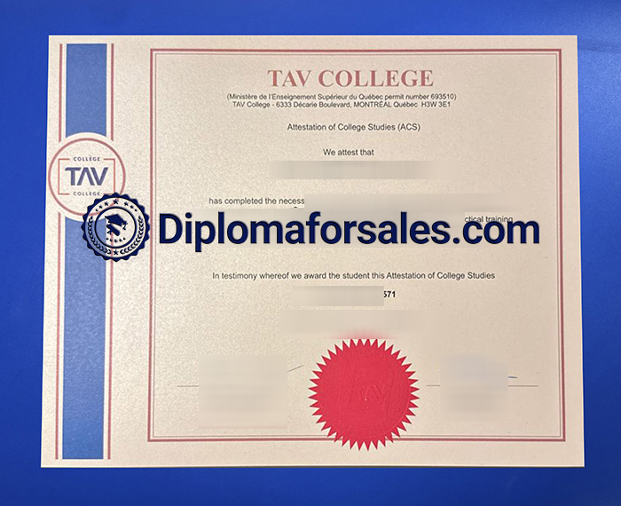 TAV College Diploma