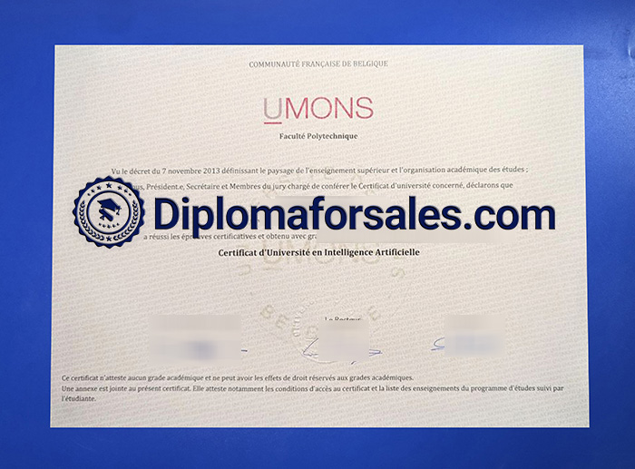 Université de Mons Diploma