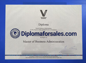 Vlerick Business School Diploma