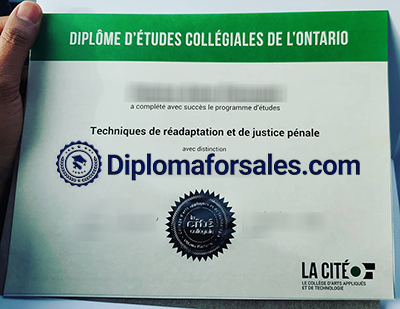 Collège La Cité Diploma