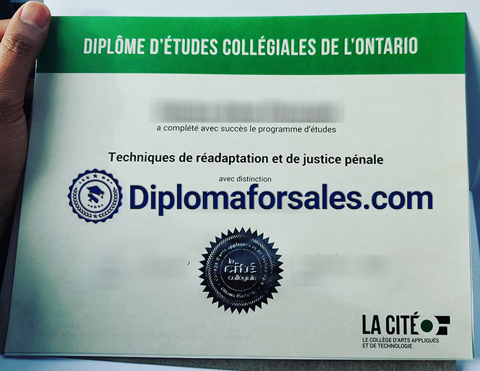 Collège La Cité Diploma