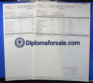 Université de Strasbourg Transcript