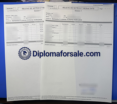 Université de Strasbourg Transcript